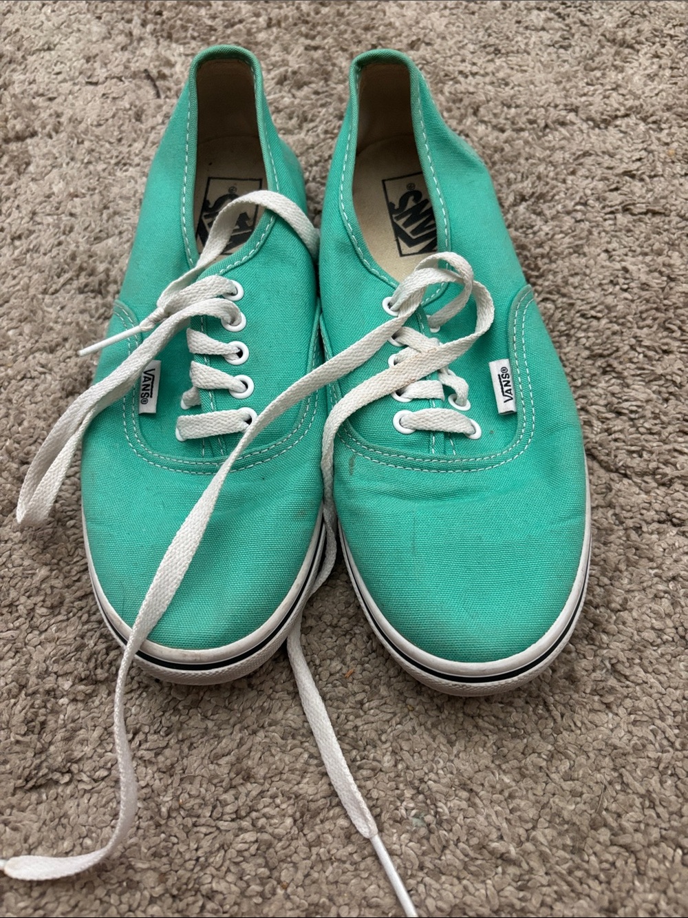 Vans Authentic Shoe in Teal Green with White Laces